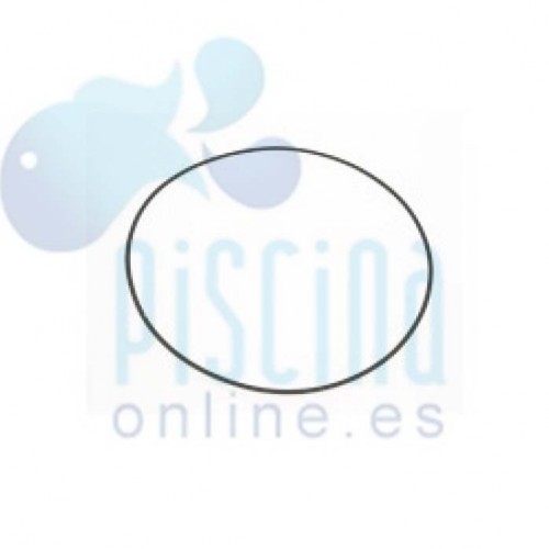 Junta brida motor de Victoria Plus