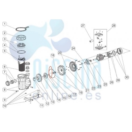 Detalle montaje junta brida motor de Victoria Plus