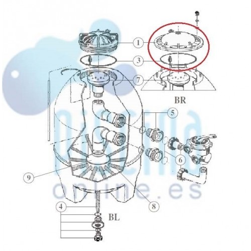 Tapa y junta del filtro BR...