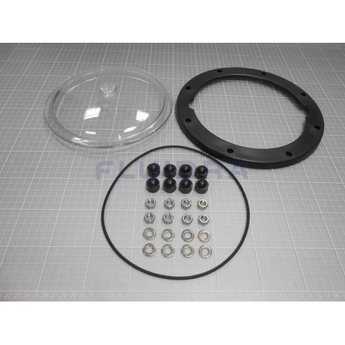 GRUPO TAPA TRANSPARENTE...