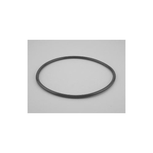 JUNTA TAPA FILTRO INOX ASTRAL