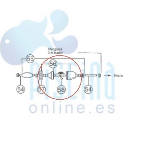 Detalle kit válvula de retroceso Polaris 280