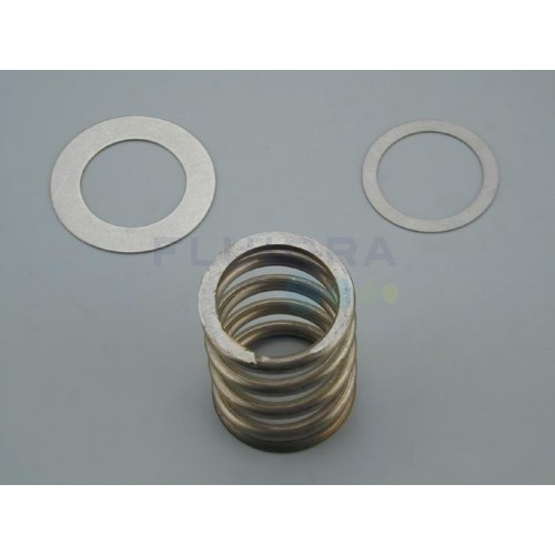 RESORTE CON ARANDELAS 2 1/2'