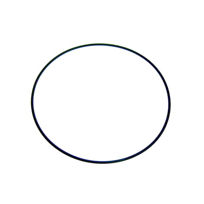 Junta aro fijación válvula Astralpool 4404260106