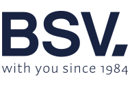 BSV Electronics